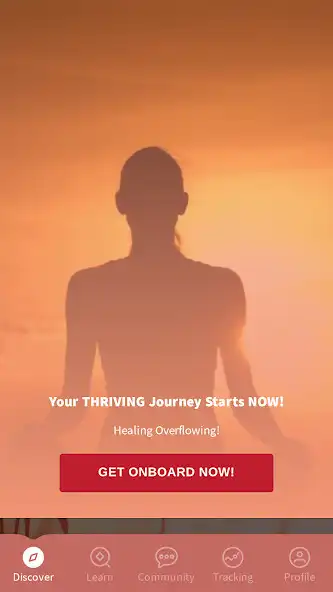 Play Phoenix Nest Coaching  and enjoy Phoenix Nest Coaching with UptoPlay