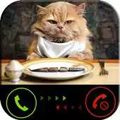 Free play online Phone call from cat APK