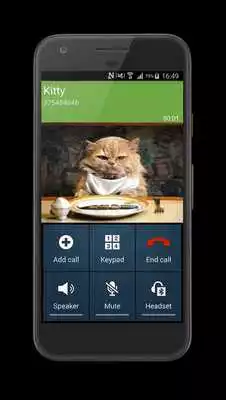 Play Phone call from cat