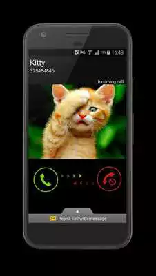 Play Phone call from cat