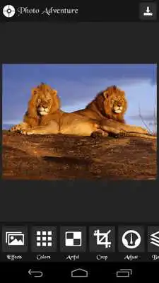 Play Photo Adventure Play Photo Adventure