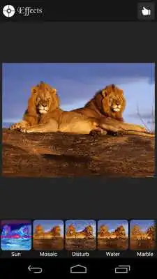 Play Photo Adventure Play Photo Adventure