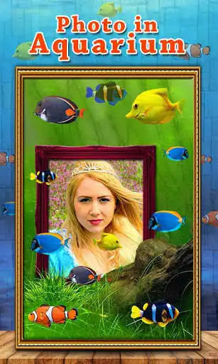 Play Photo Aquarium Live Wallpaper and enjoy Photo Aquarium Live Wallpaper with UptoPlay Play Photo Aquarium Live Wallpaper and enjoy Photo Aquarium Live Wallpaper with UptoPlay