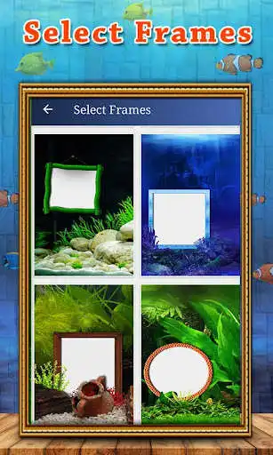 Play Photo Aquarium Live Wallpaper as an online game online Photo Aquarium Live Wallpaper with UptoPlay bestfreelivewallpapers.my_photo_aquarium_wallpaper Play Photo Aquarium Live Wallpaper as an online game Photo Aquarium Live Wallpaper with UptoPlay