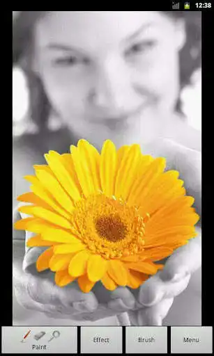 Play Photo Art - Color Effects  and enjoy Photo Art - Color Effects with UptoPlay