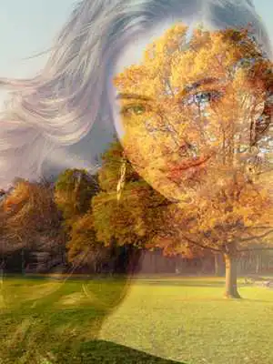 Play Photo Blend Nature Frames