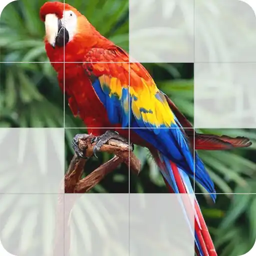 Play Photo Blocks APK