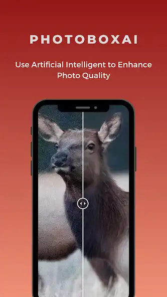 Play Photo box AI: Photo Enhancer  and enjoy Photo box AI: Photo Enhancer with UptoPlay