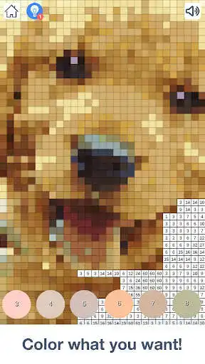 Play Photo by Number as an online game Photo by Number with UptoPlay