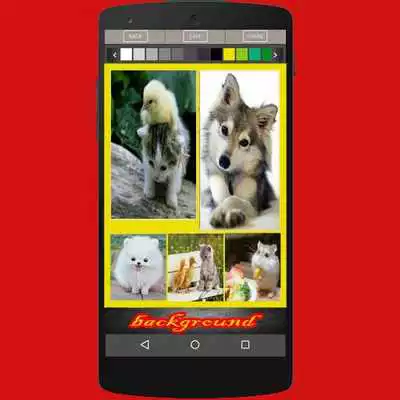 Play Photo Collage Dream