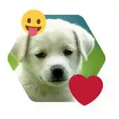 Free play online Photo Collage - Make Avatar APK