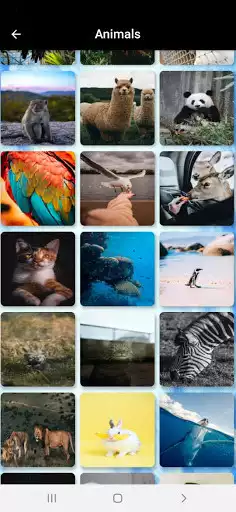 Play PhotoCollection