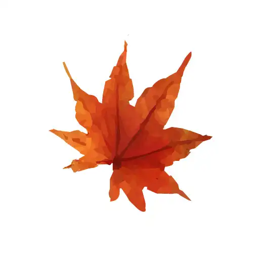 Play Photo Editor, Collage Creator APK