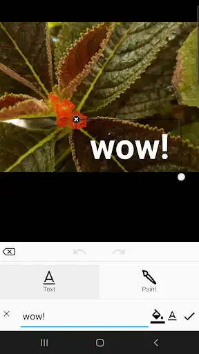 Play Photo Editor Lab as an online game Photo Editor Lab with UptoPlay