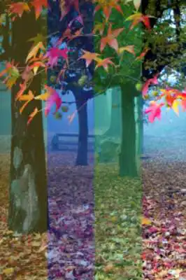 Play Photoeditor Pro 2017