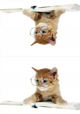 Play Photo Effect Mirror Grid