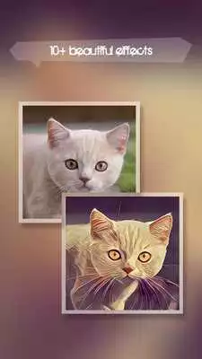 Play Photo Effect Prisma  Filters