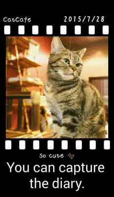 Play Photofilm Diary