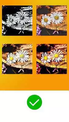 Play Photo Filters for Prisma
