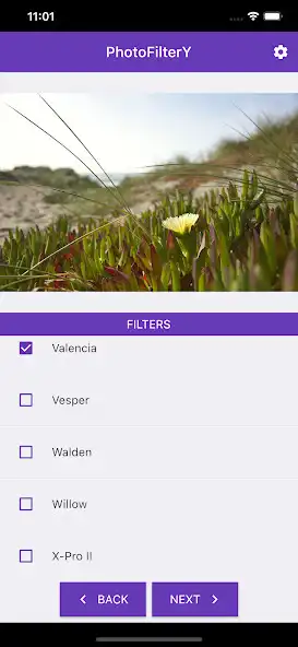Play PhotoFilterY  and enjoy PhotoFilterY with UptoPlay