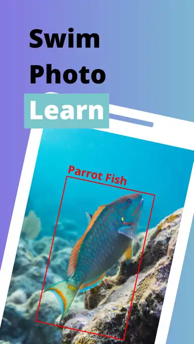 Play Photo Fish - Fish Identifier  and enjoy Photo Fish - Fish Identifier with UptoPlay