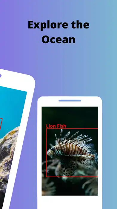 Play Photo Fish - Fish Identifier as an online game Photo Fish - Fish Identifier with UptoPlay