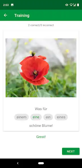 Play Photo Flashcards Control as an online game Photo Flashcards Control with UptoPlay