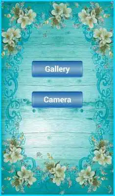 Play photo frame - images collage