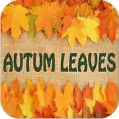 Free play online Photo Frames Autumn Leaves APK Free play online Photo Frames Autumn Leaves APK