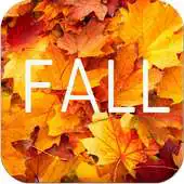 Free play online Photo Frames Fall APK