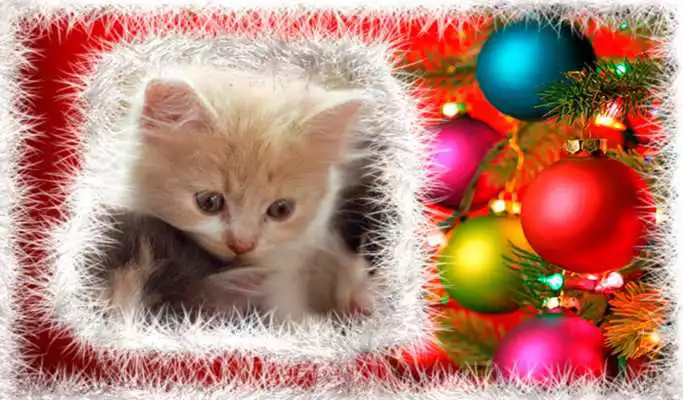 Play Photo Frames Insta Christmas