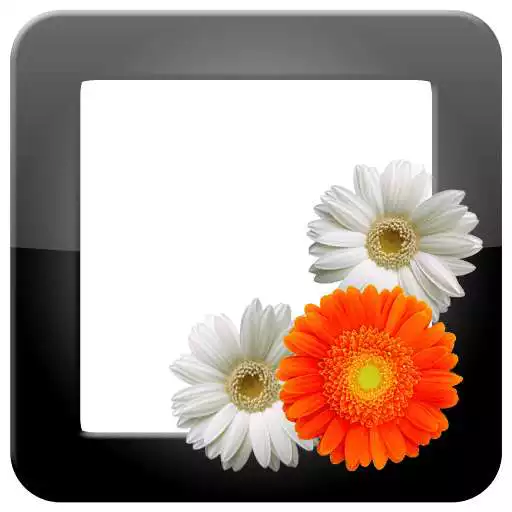 Free play online PhotoFrames Pro  APK