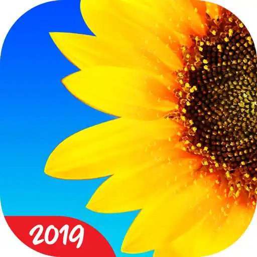 Play Photo Gallery App & Album Maker APK