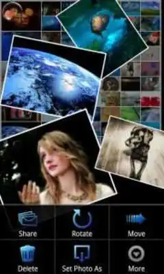 Play Photo Gallery (Fish Bowl)