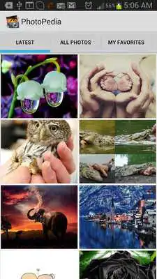 Play Photo Gallery Photopedia