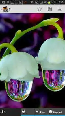 Play Photo Gallery Photopedia