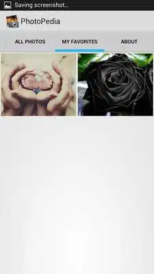 Play Photo Gallery Photopedia