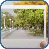 Free play online Photograph of the Tree APK