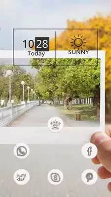 Play Photograph of the Tree