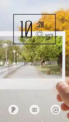 Play Photograph of the Tree