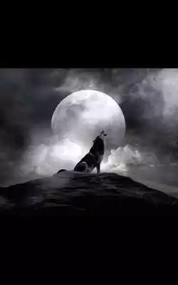 Play Photo HD Ghost Live Wallpaper