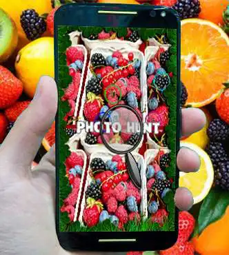 Play photo hunt Fruit