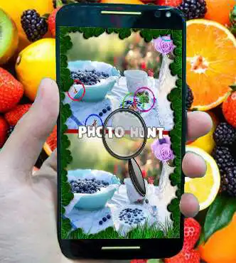 Play photo hunt Fruit