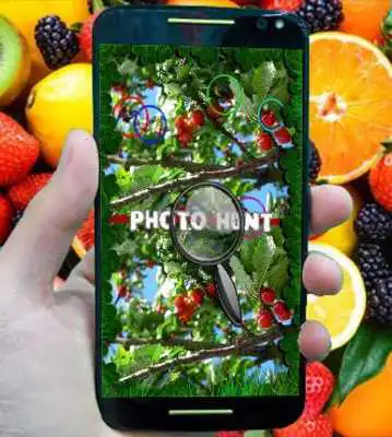 Play photo hunt Fruit