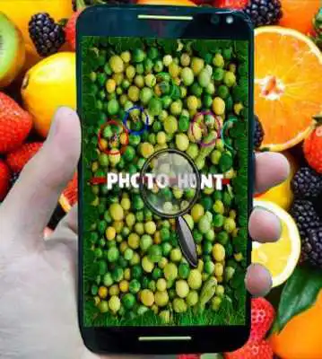 Play photo hunt Fruit