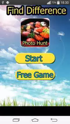 Play Photo Hunt Japanese Food