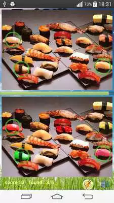 Play Photo Hunt Japanese Food