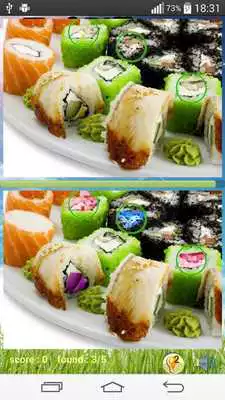 Play Photo Hunt Japanese Food