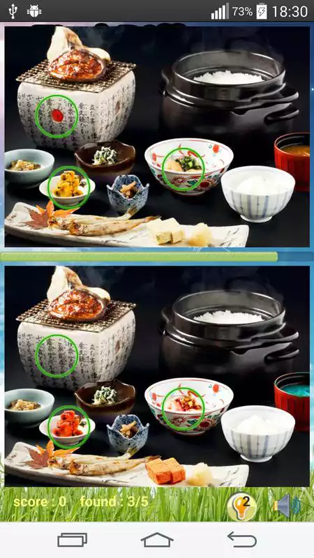 Play Photo Hunt Japanese Food