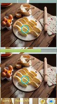 Play Photo Hunt Spot the Difference